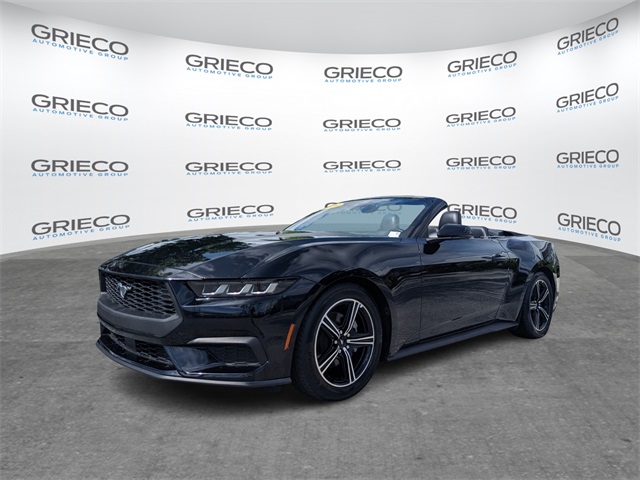 2024 Ford Mustang EcoBoost Premium photo 4
