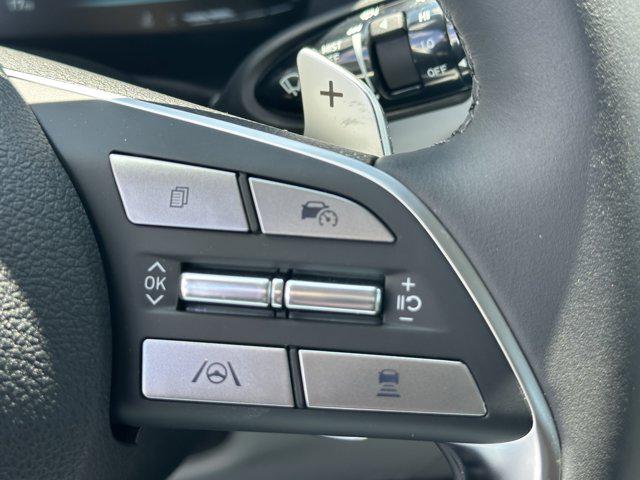 2025 Hyundai Palisade SEL photo 20