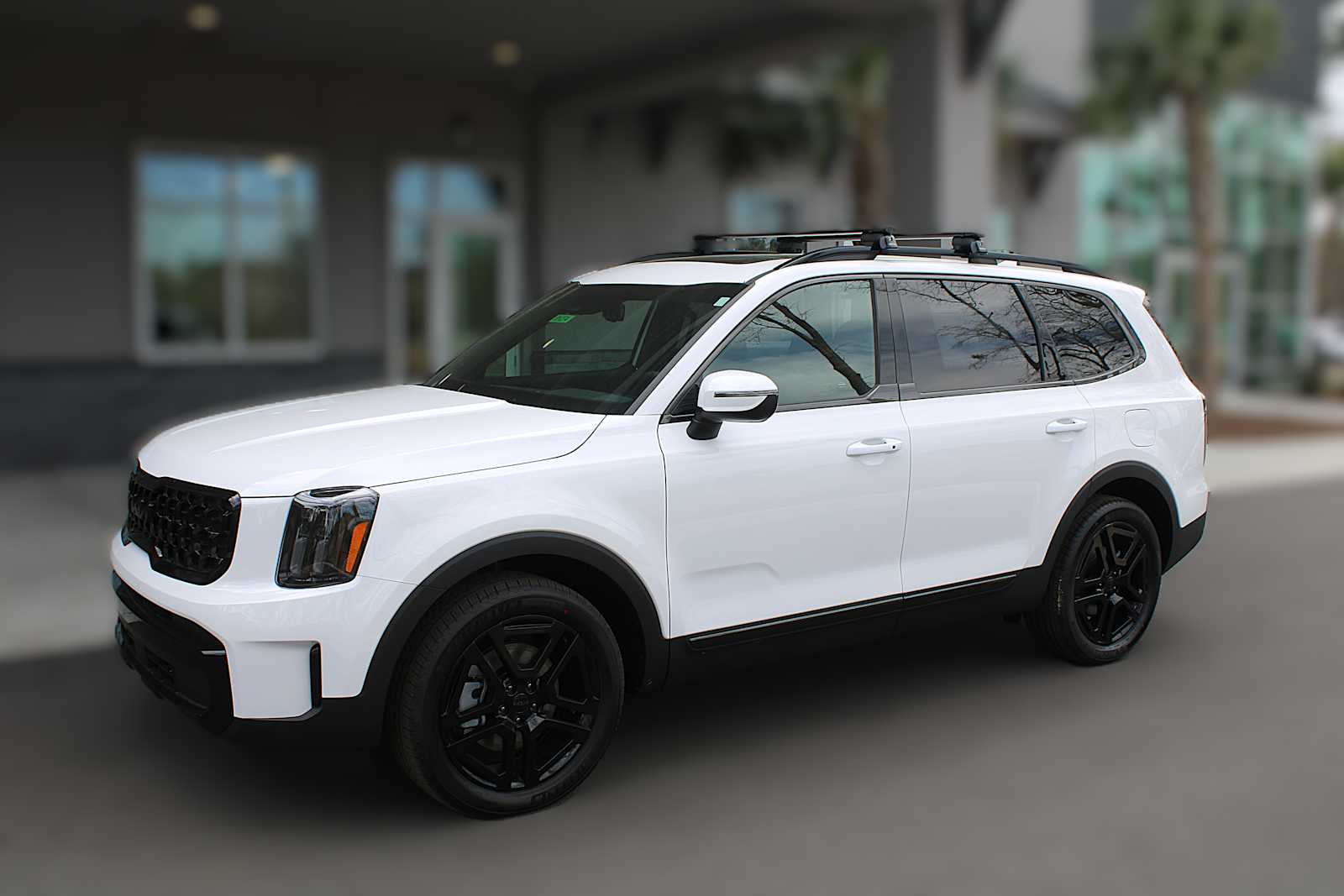 2025 Kia Telluride EX X-Line photo 3