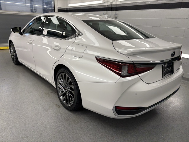 2025 Lexus ES 300h Luxury photo 4