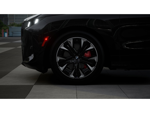2026 Bmw iX photo 5