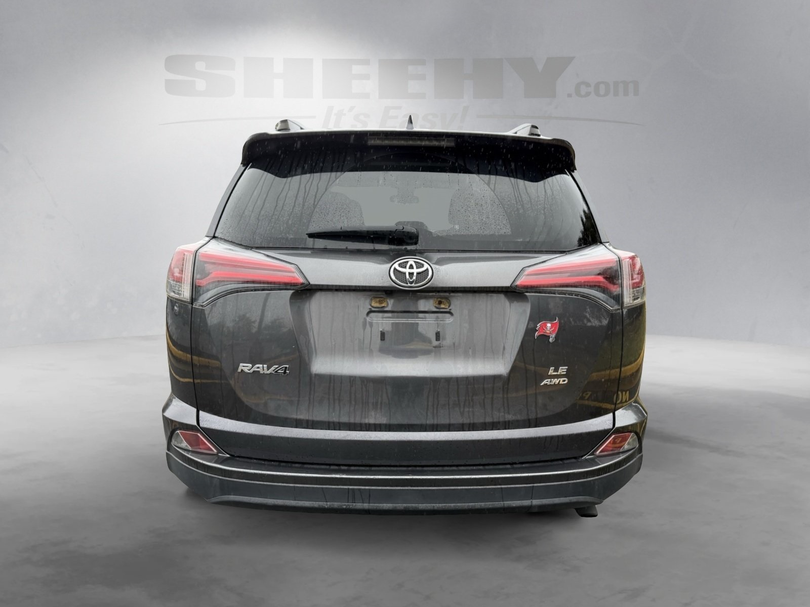 2017 Toyota RAV4 LE photo 3