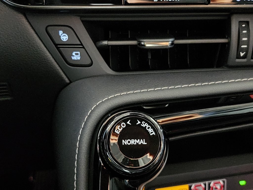 2025 Lexus NX 350h Premium AWD photo 18