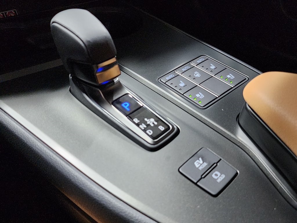 2025 Lexus UX photo 18