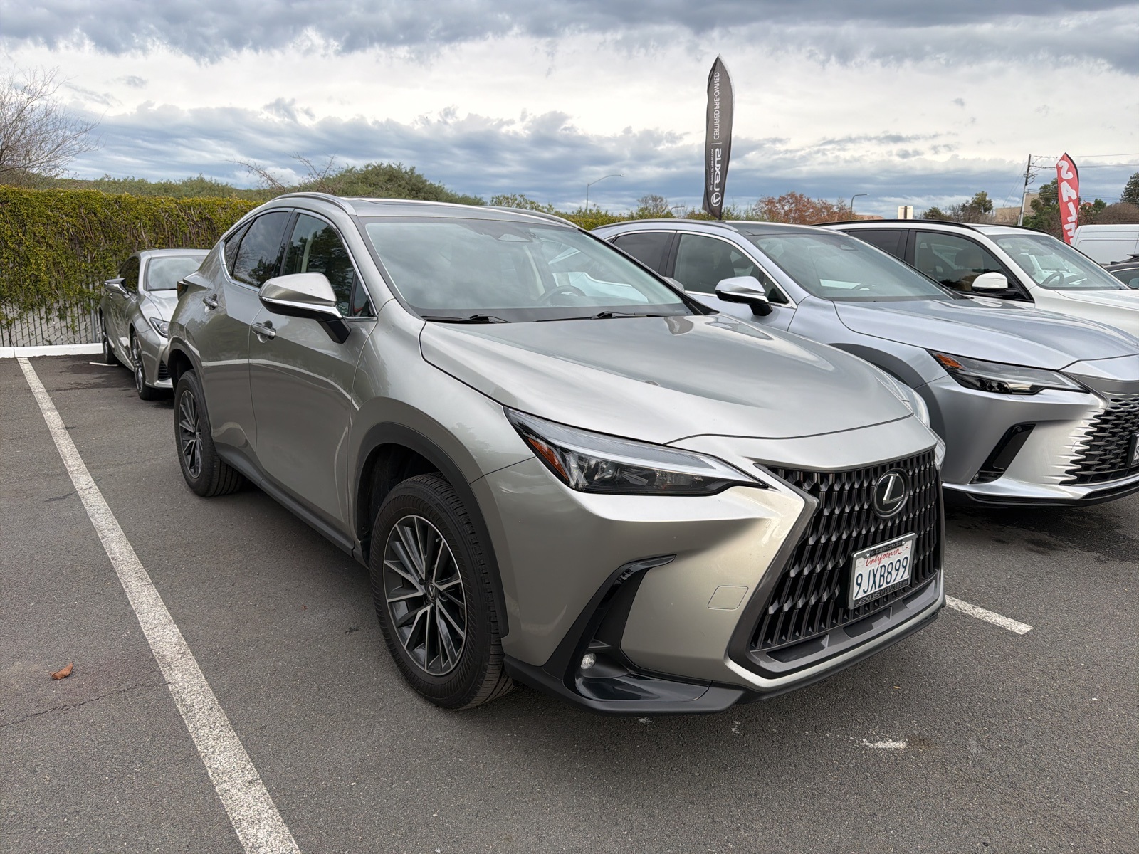 2024 Lexus NX 350's photo