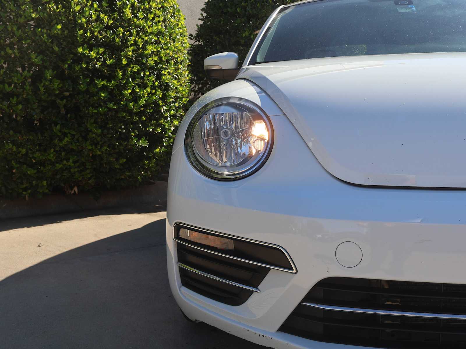 2019 Volkswagen Beetle SE photo 4