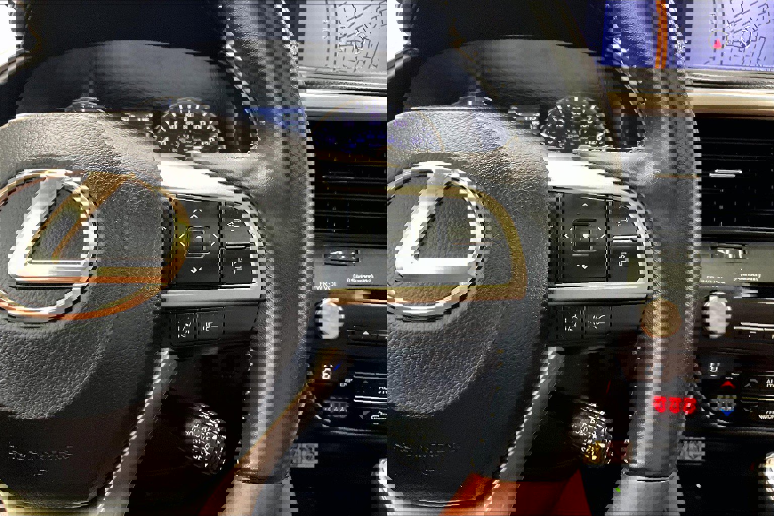 2022 Lexus RX 350 photo 22