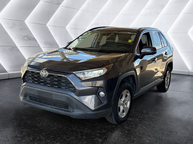 2019 Toyota RAV4 XLE photo 3