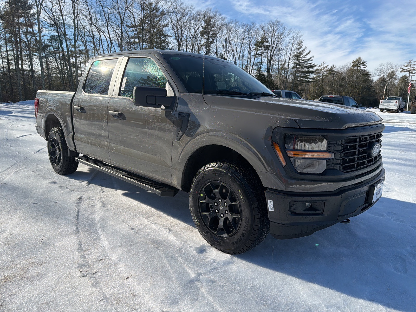 2025 Ford F-150 STX's photo