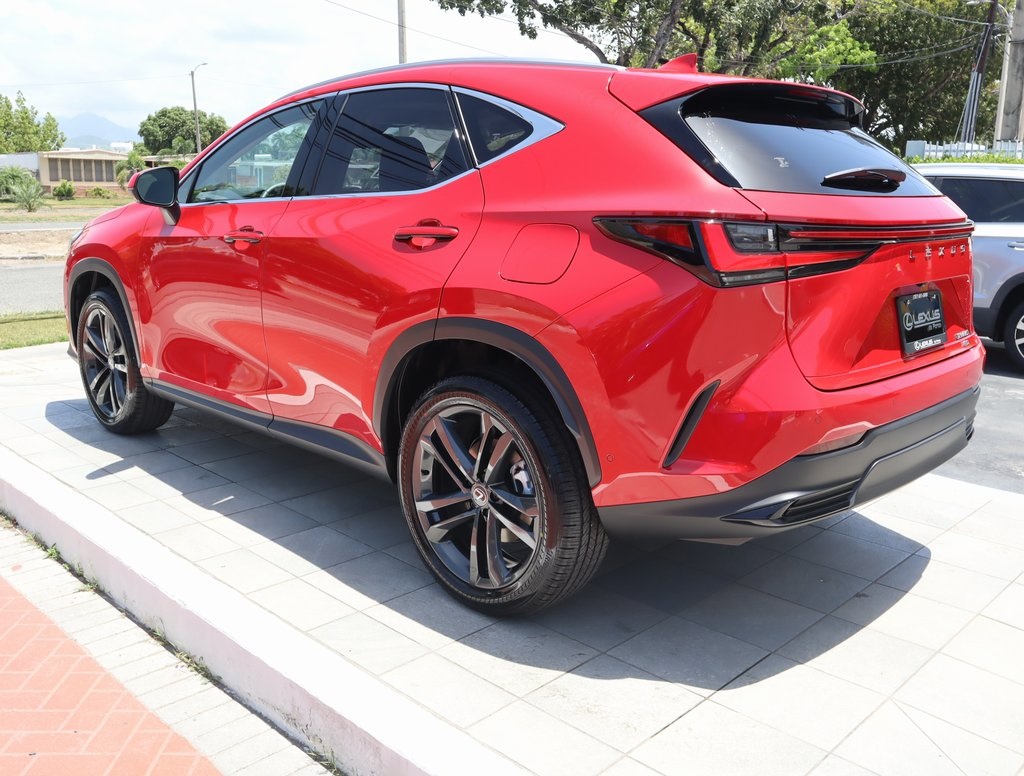 2025 Lexus NX 350h Premium photo 7