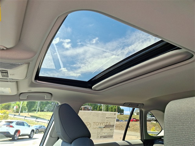 2025 Toyota RAV4 XLE photo 12