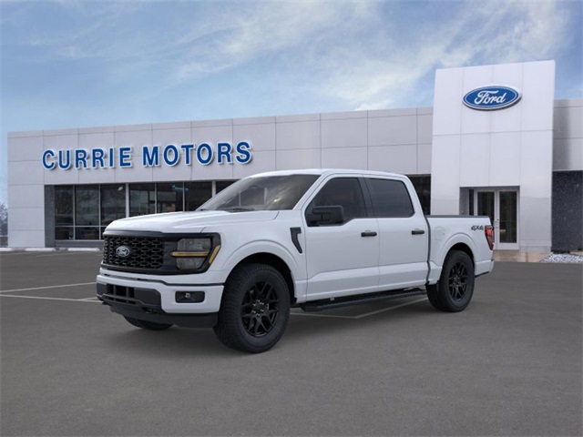 2025 Ford F-150 STX's photo