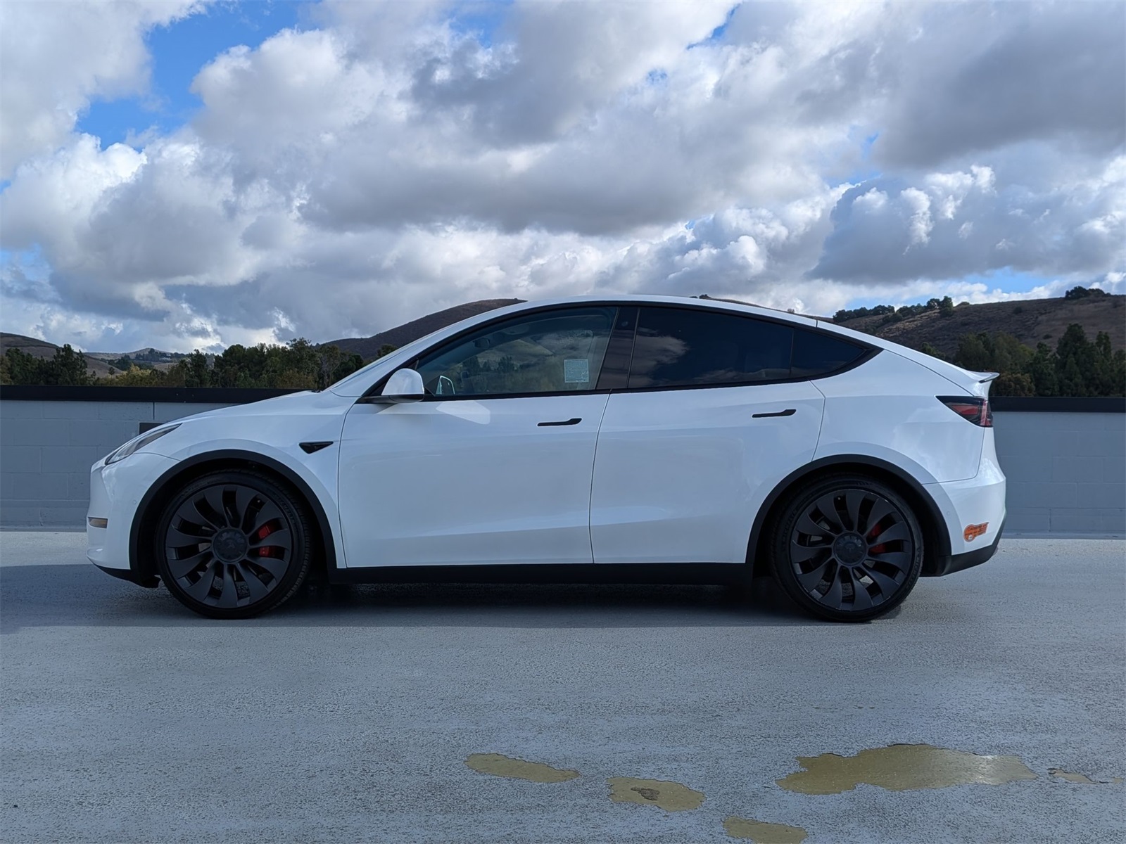 2020 Tesla Model Y Performance photo 2