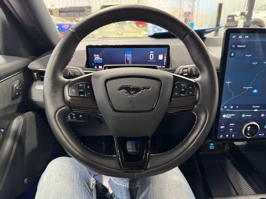 2021 Ford Mustang Mach-E GT photo 28