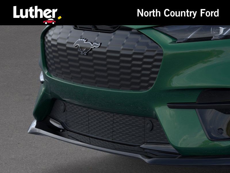 2025 Ford Mustang Mach-E GT photo 13