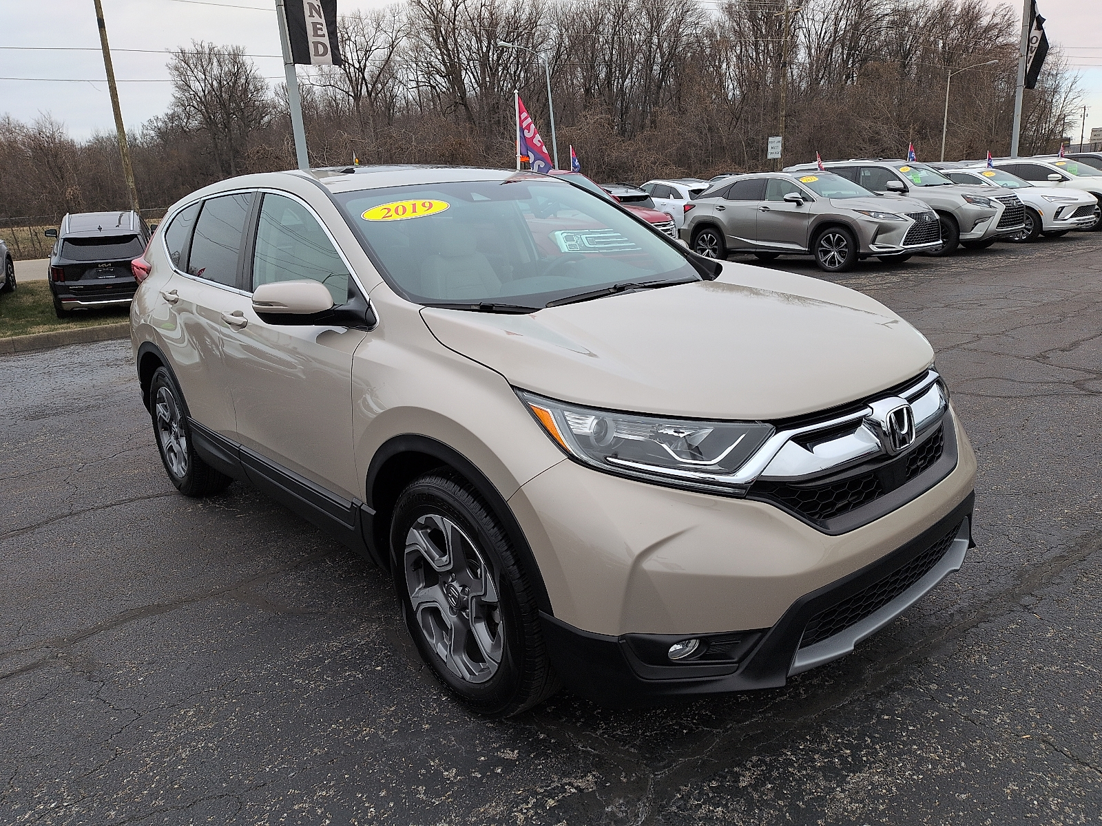 2019 Honda CR-V EX-L's photo