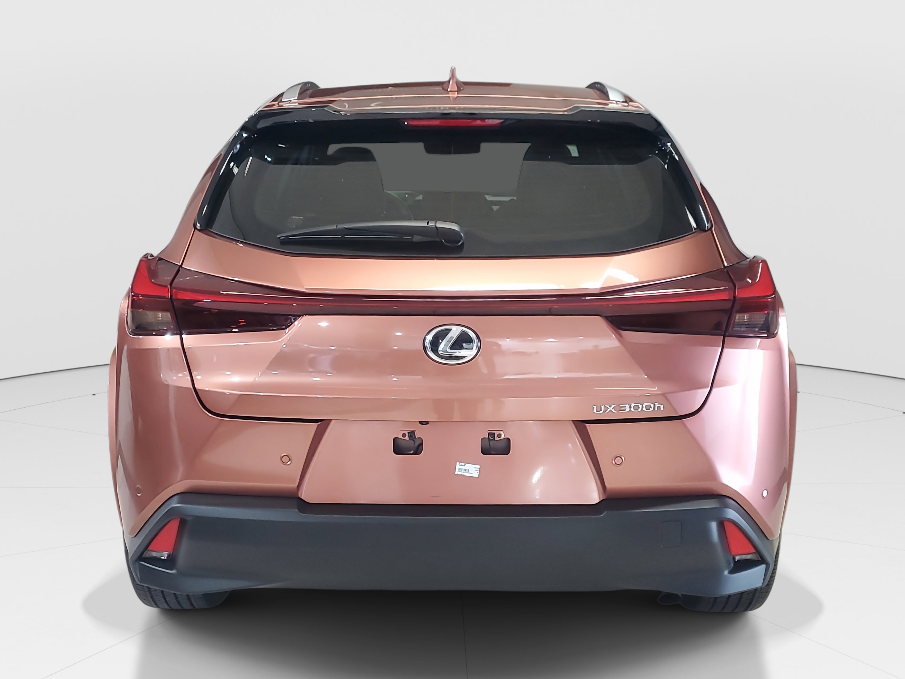2025 Lexus UX photo 7