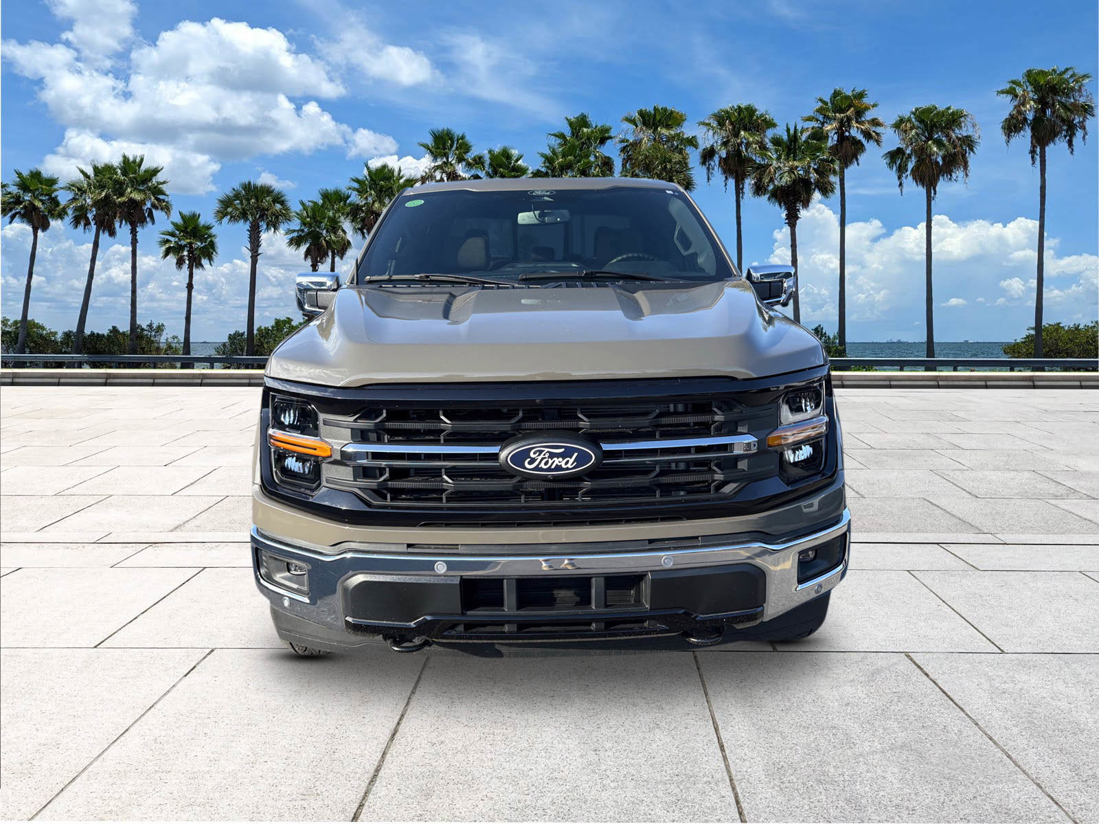 2025 Ford F-150 XLT photo 3