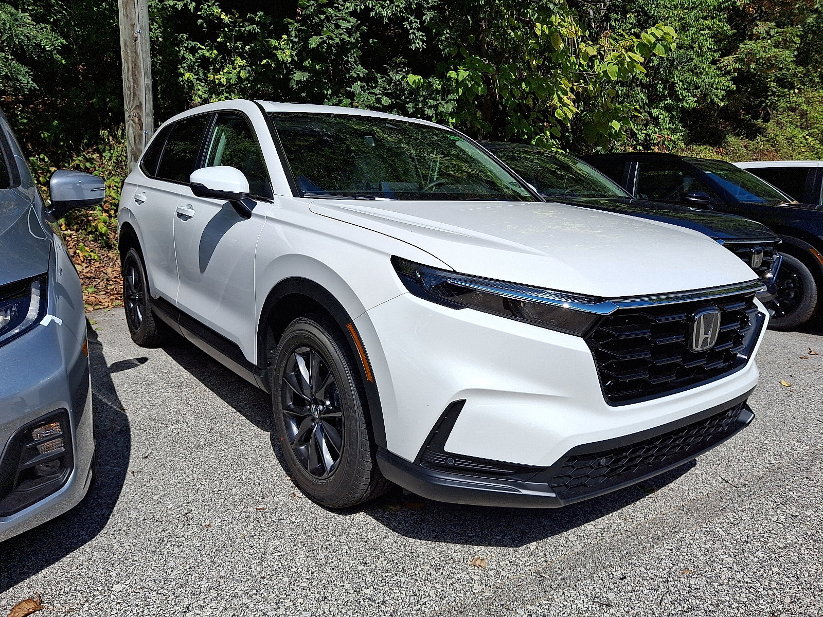 2026 Honda CR-V EX-L photo 3