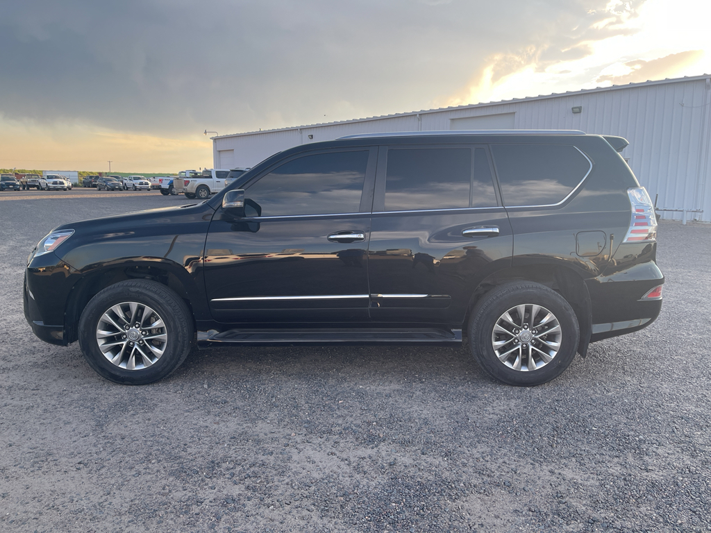2019 Lexus GX 460 Luxury photo 8