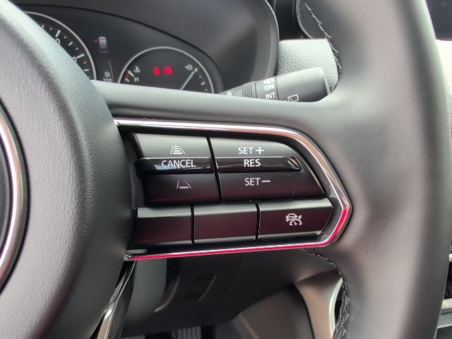 2024 Mazda CX-90 3.3 Turbo Preferred photo 20
