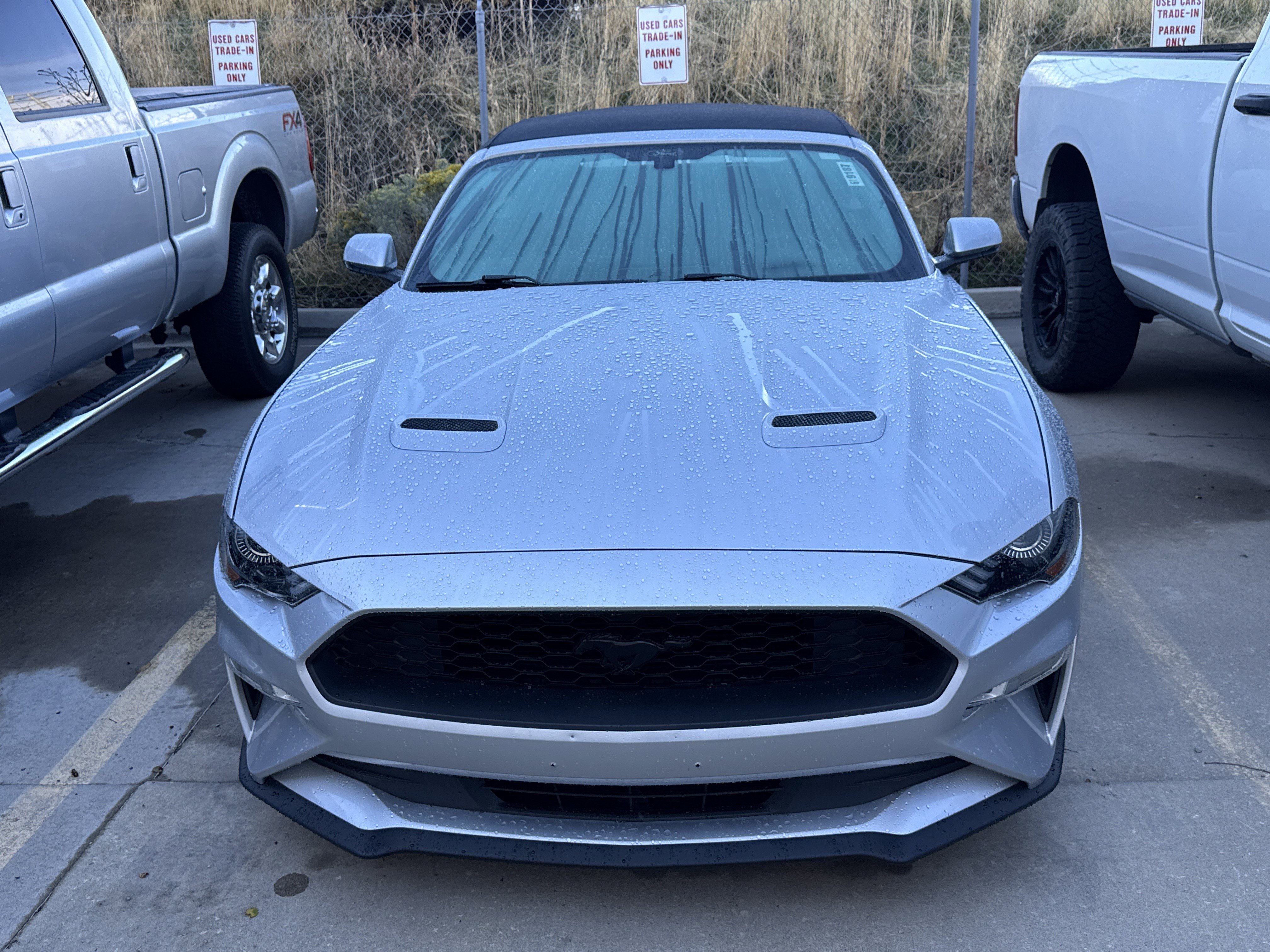 Used 2019 Ford Mustang EcoBoost Premium with VIN 1FATP8UH8K5109292 for sale in North Salt Lake, UT