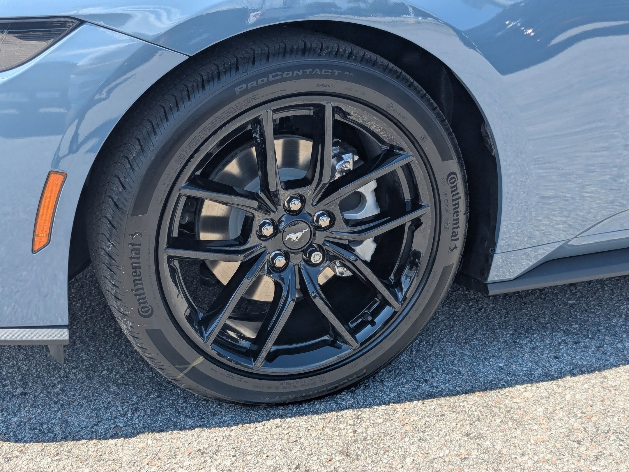2025 Ford Mustang EcoBoost photo 10