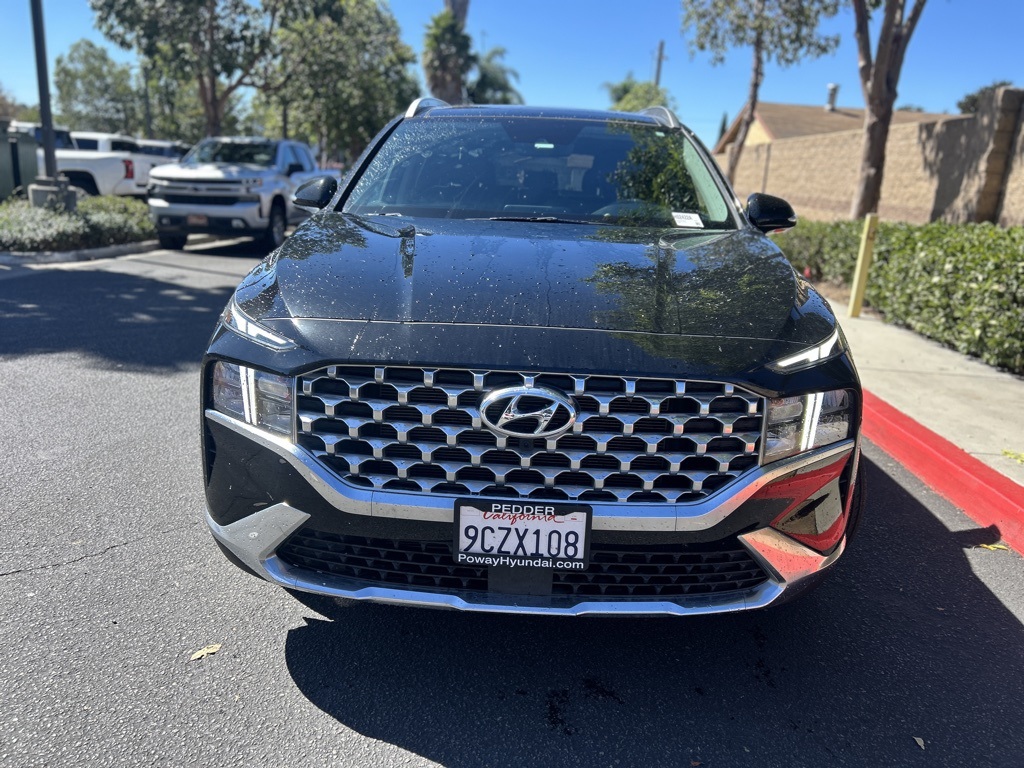 2023 Hyundai Santa Fe SEL Premium photo 2