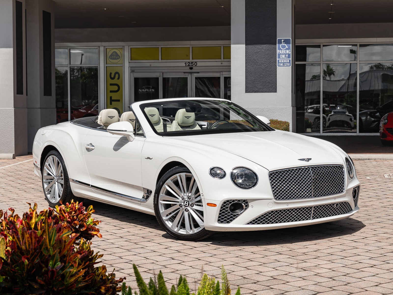 2022 Bentley Continental GTC Speed photo 12