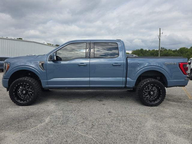 2023 Ford F-150 Platinum photo 2
