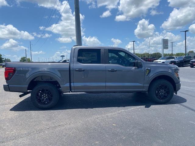 2025 Ford F-150 STX photo 12