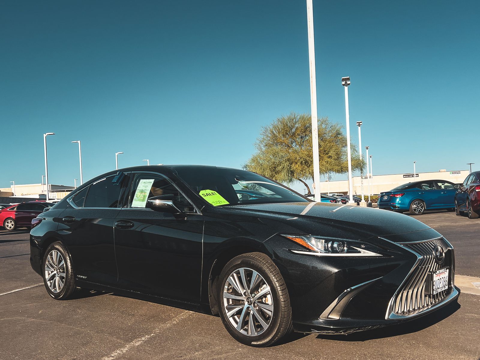 2021 Lexus ES 300h photo 2