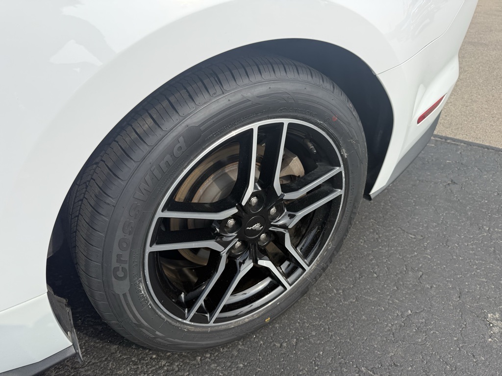 2023 Ford Mustang EcoBoost Premium photo 3