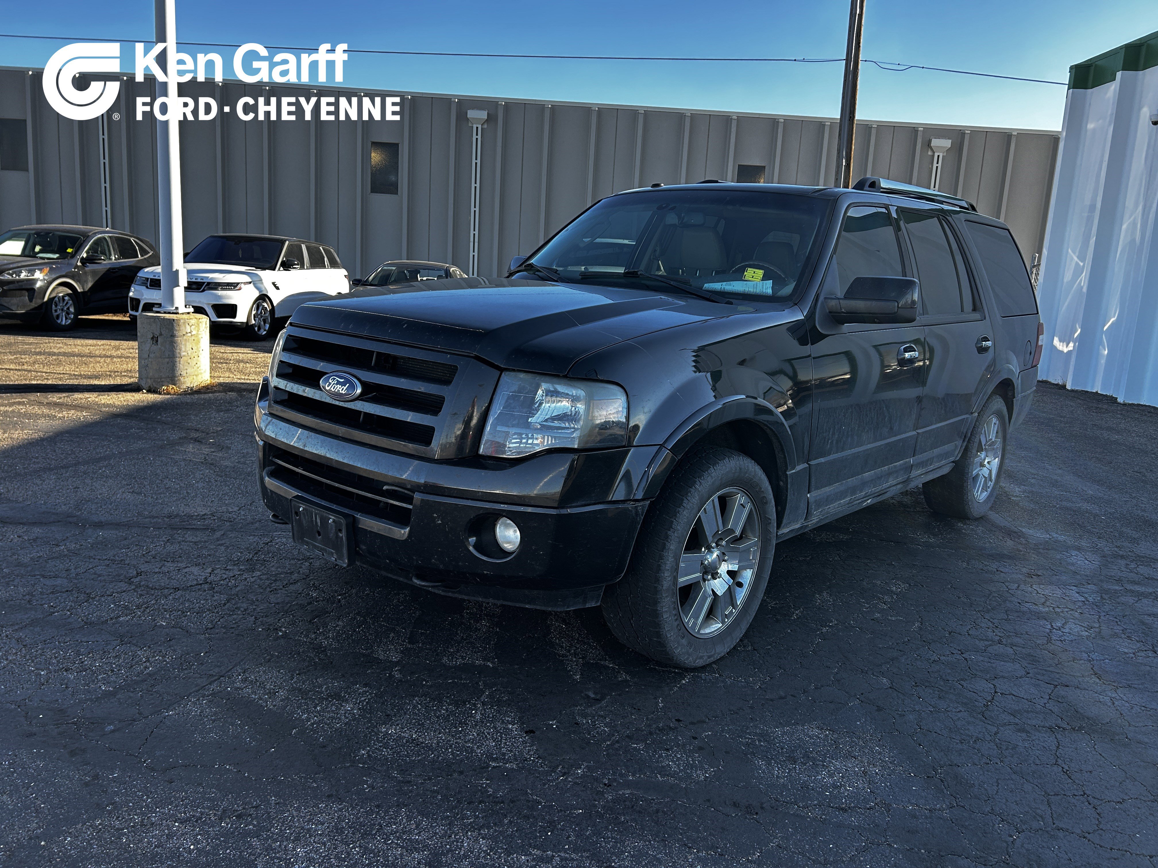 2010 Ford Expedition Limited's photo