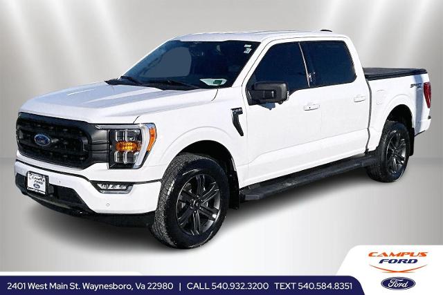 2023 Ford F-150 XLT's photo