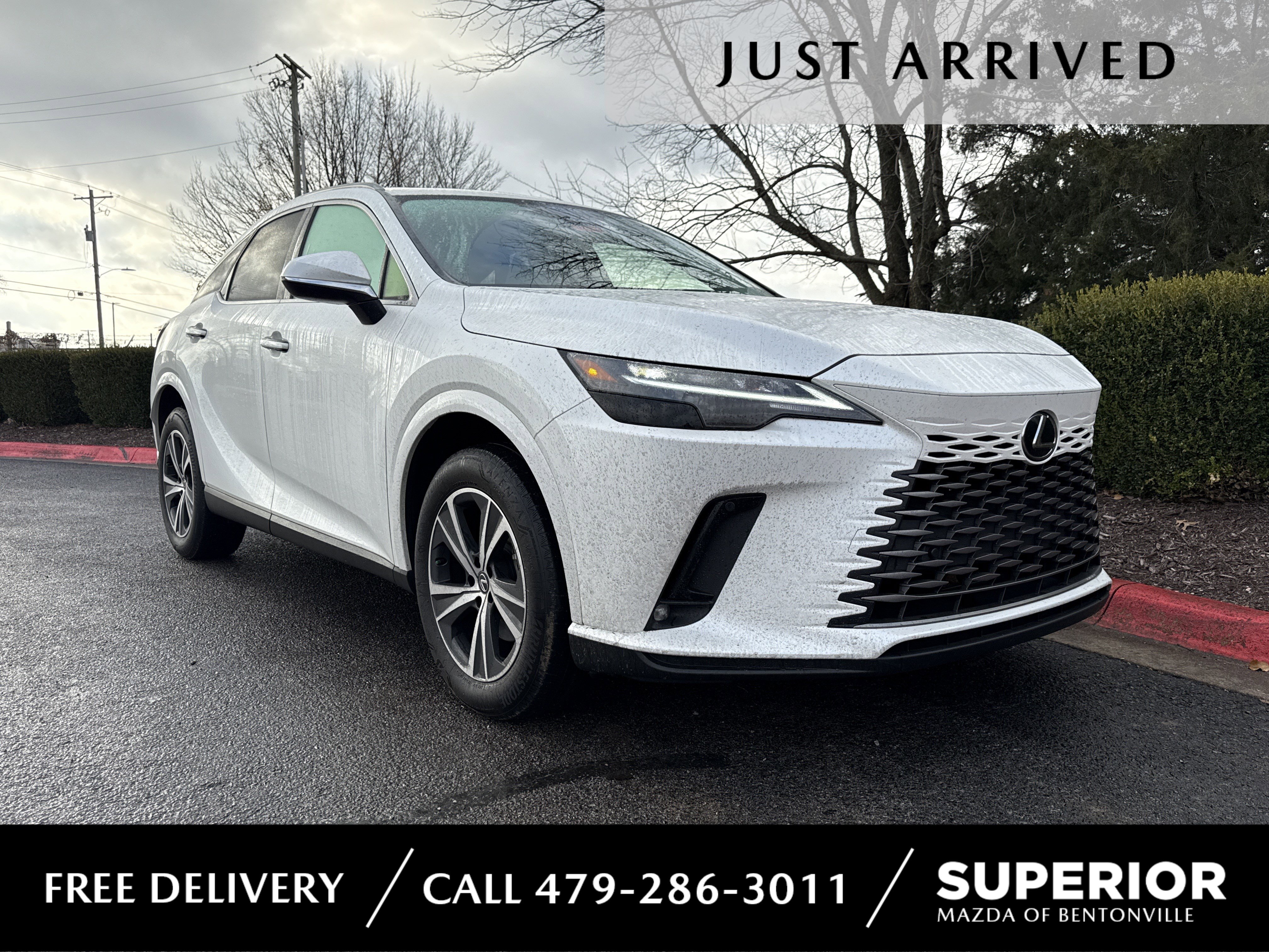 2023 Lexus RX 350's photo