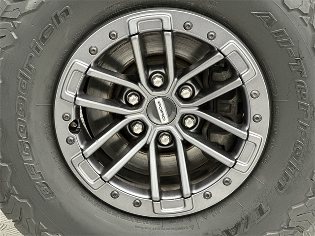 2019 Ford F-150 Raptor photo 2