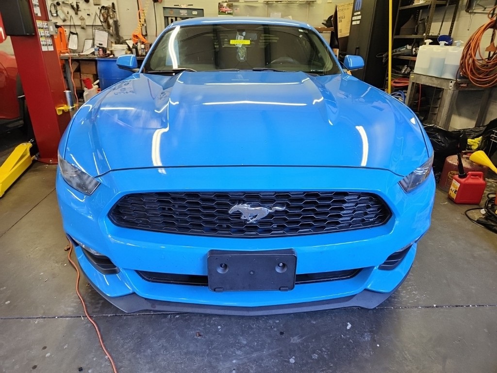 PreOwned 2017 Ford Mustang V6 2D Coupe Tim Short Auto Group