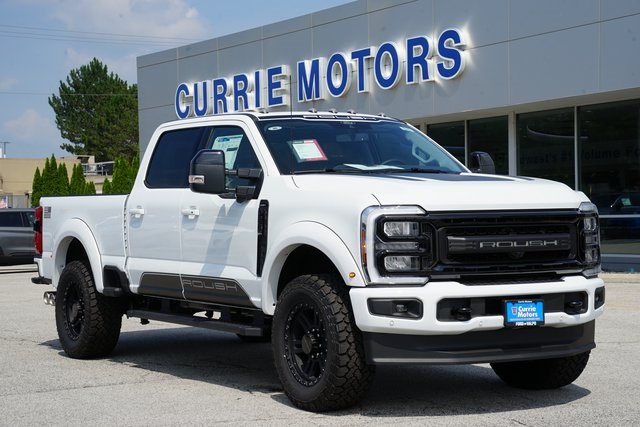 2025 FORD F-250 - Image 23