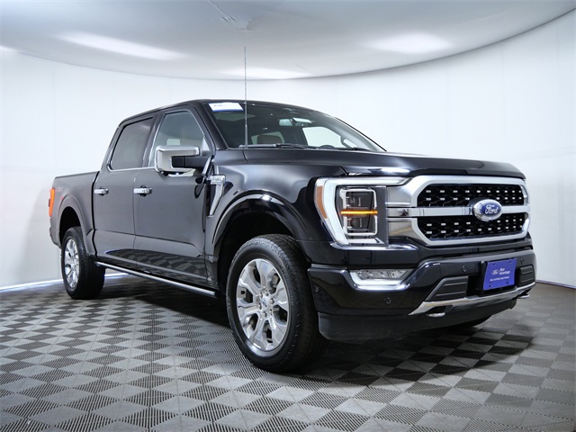 2023 Ford F-150 Platinum's photo
