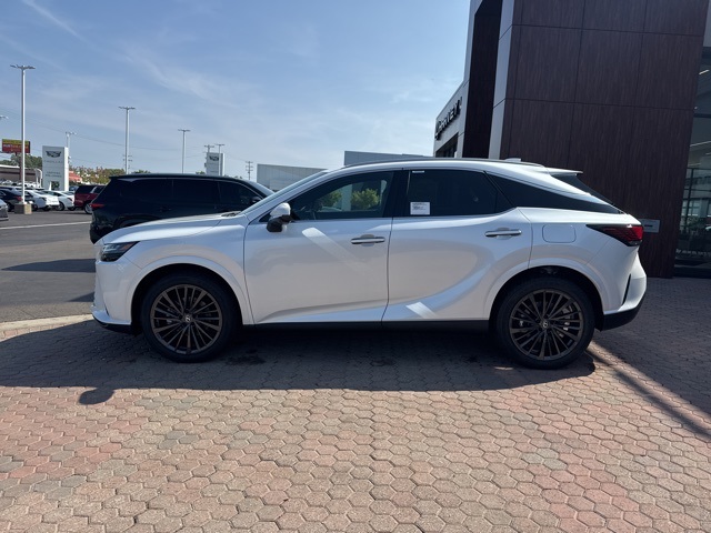 2025 Lexus RX 350 Premium AWD photo 13
