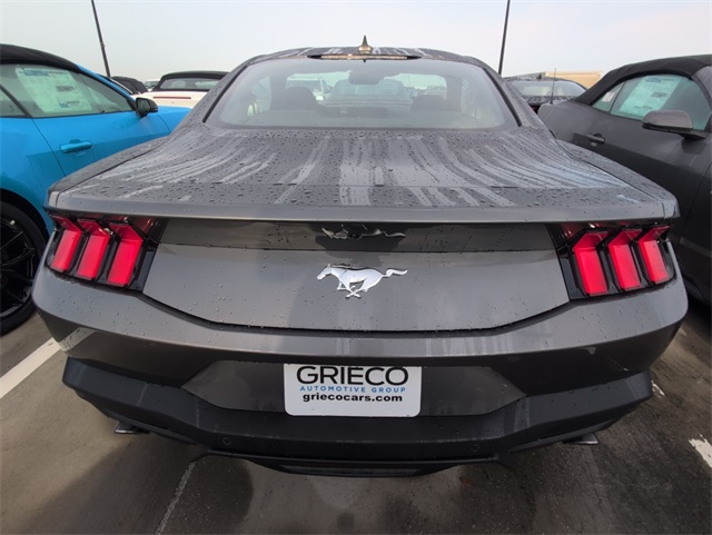 2025 Ford Mustang EcoBoost photo 8