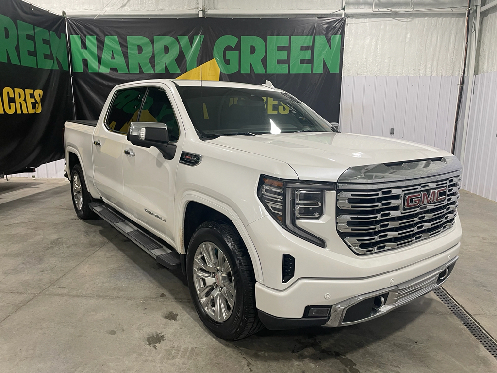2022 Gmc Sierra 1500 Denali photo 3