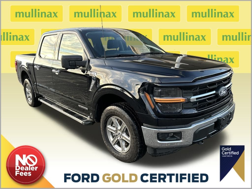 2024 Ford F-150 XLT's photo