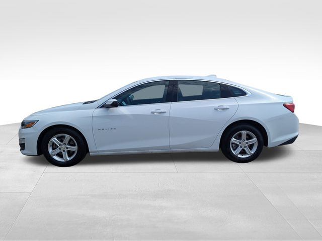 2023 Chevrolet Malibu 1LT photo 2