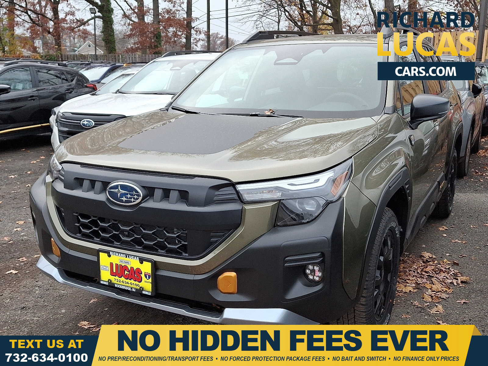 2026 Subaru Forester Wilderness's photo