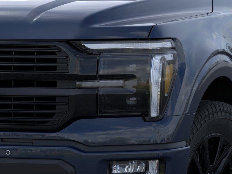 2025 Ford F-150 Platinum photo 18