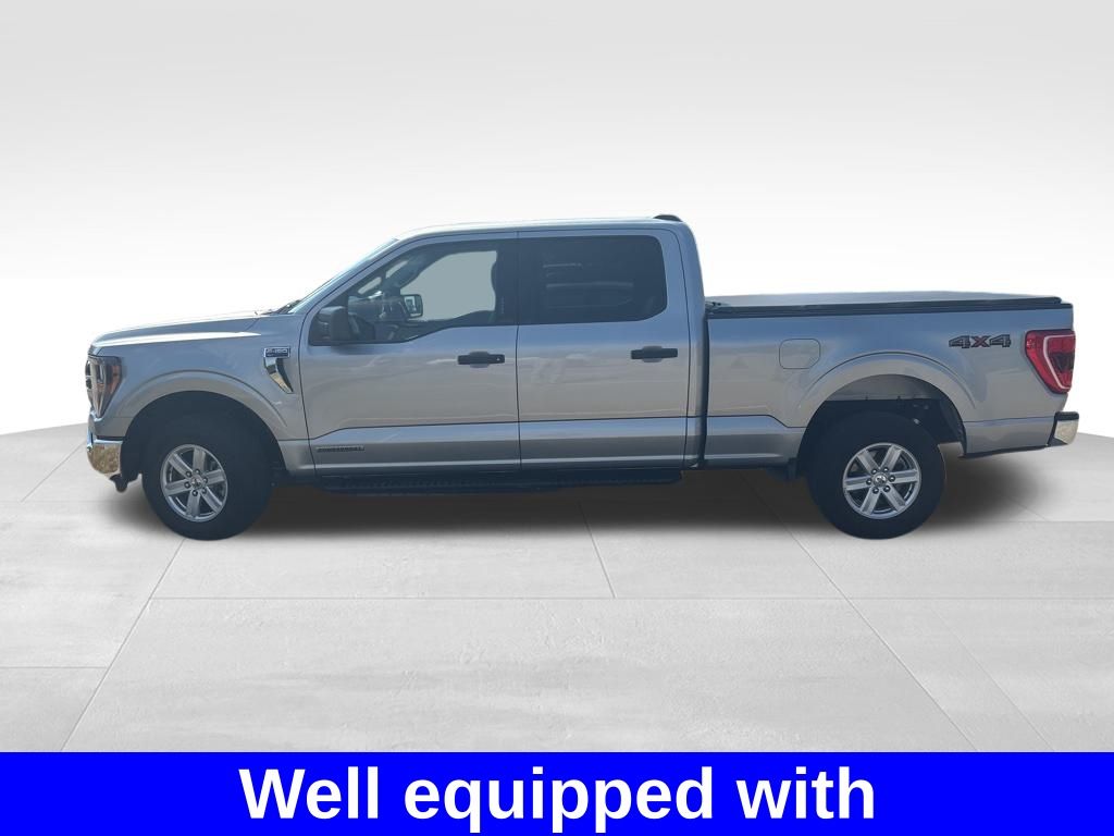 2023 Ford F-150 XLT photo 3