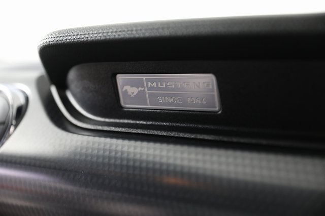 2017 Ford Mustang EcoBoost photo 17