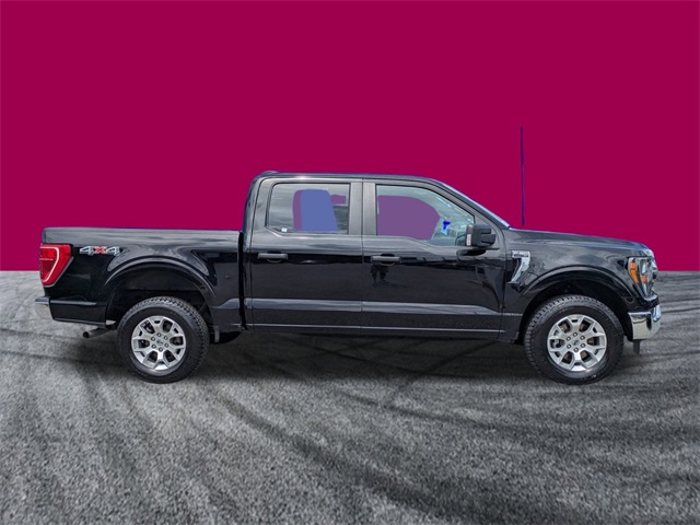 2023 Ford F-150 XLT photo 3